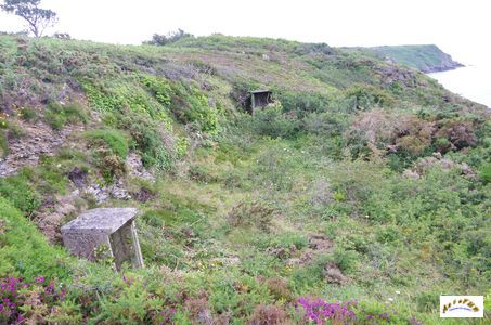 fort robert 10