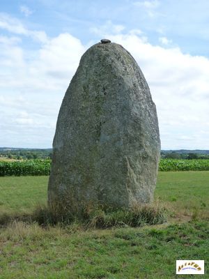 menhir botudo