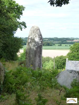 menhir porzic