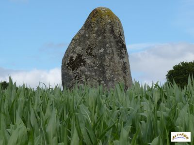 menhir ville juhel