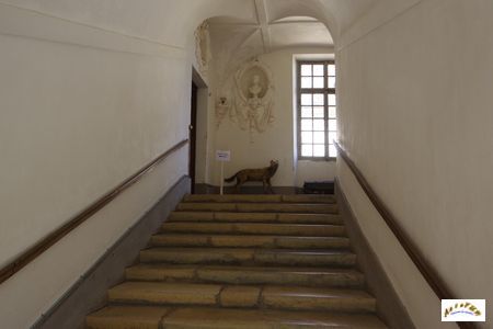 escalier 8