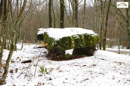 grand dolmen 10