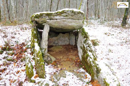 petit dolmen 4
