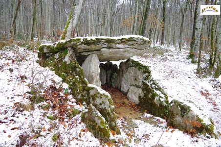 petit dolmen 7
