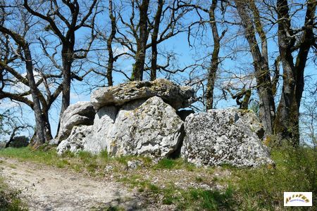 dolmen du blanc 7