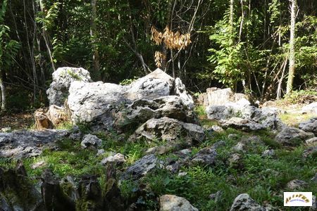allee couverte oustal del loup 2-7