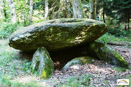 dolmen de la Jolinie