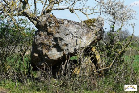 dolmen de Peyre negre 2