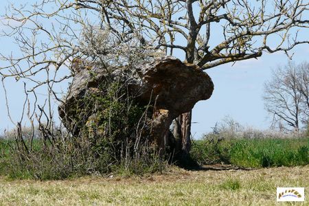 dolmen de Peyre negre 3