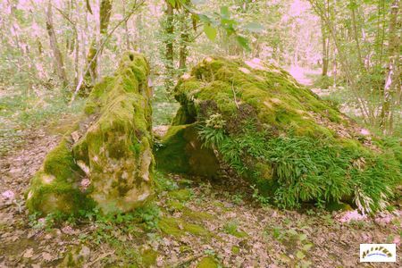 dolmen de Peyrelevade de Beauregard-et-Bassac 2