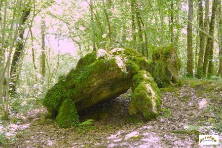 dolmen de Peyrelevade de Beauregard-et-Bassac 4