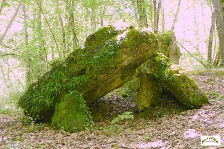 dolmen de Peyrelevade de Beauregard-et-Bassac 6