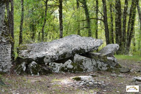 dolmen de Peyre Levade de Limeyrat 2