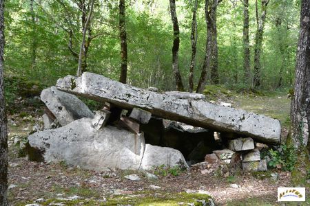 dolmen de Peyre Levade de Limeyrat 6