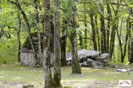 dolmen de Peyre Levade de Limeyrat 8