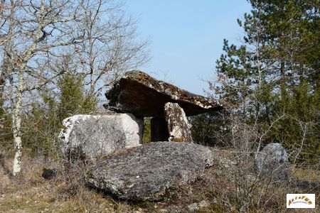dolmen de Peyrelevade de Paussac 1