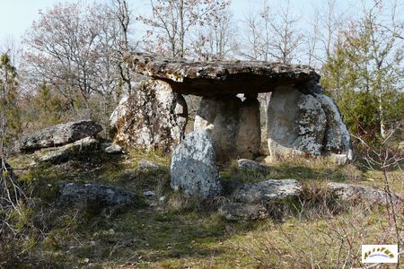 dolmen de Peyrelevade de Paussac 3