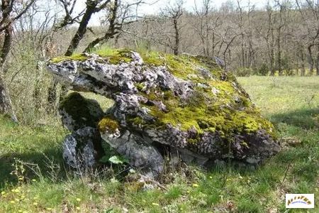 Dolmen de Peyrelevade de Rampieux 2
