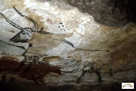 Lascaux 14