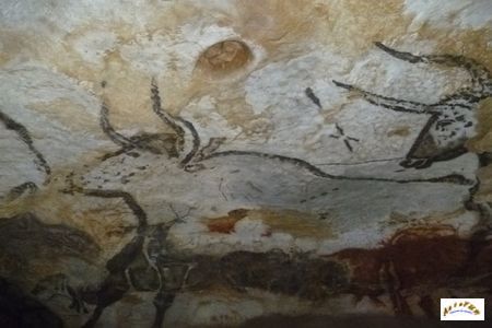 Lascaux 15