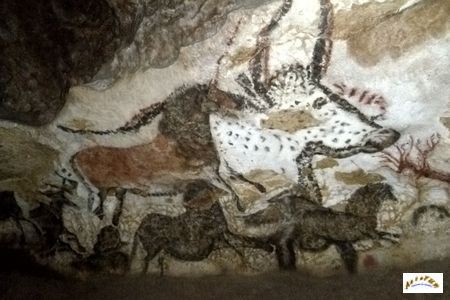lascaux 18