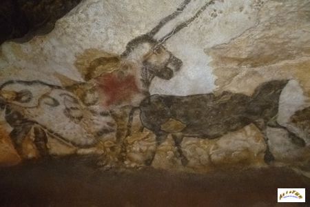 Lascaux 20
