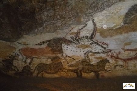 Lascaux 25