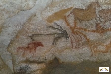 Lascaux 39