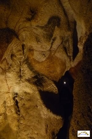 Lascaux 41