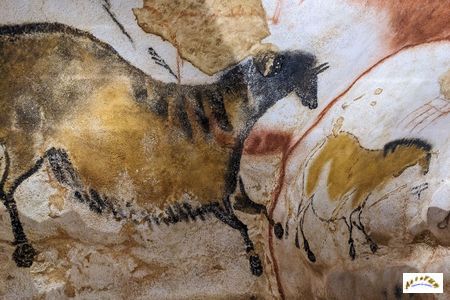 Lascaux 50