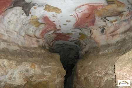 Lascaux 52