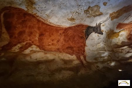 Lascaux 8