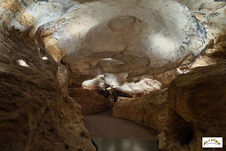 Lascaux 9