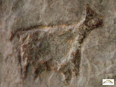 quadrupede oreille enfer