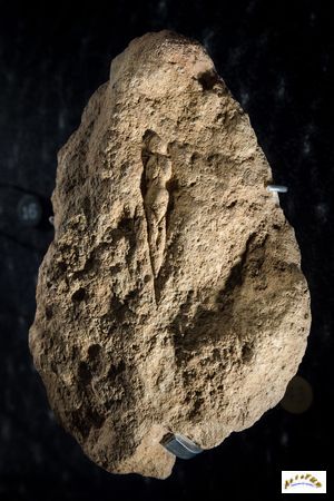 venus abri Pataud 2