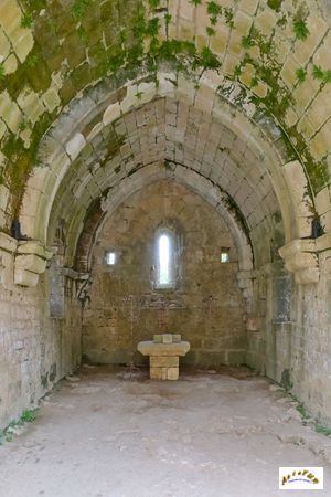 chateau de commarque 13