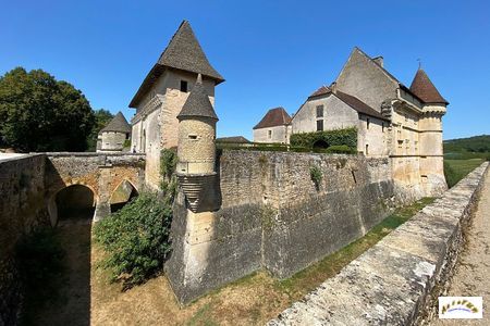 chateau de losse 13