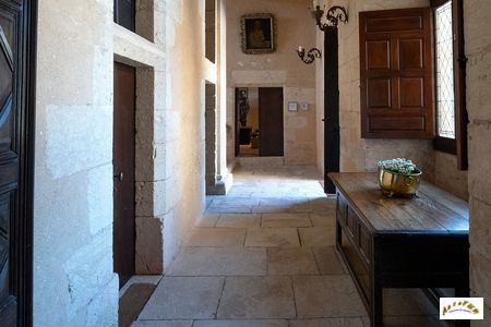 chateau de losse 19