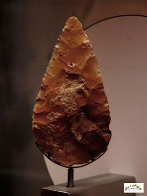 feuille de laurier