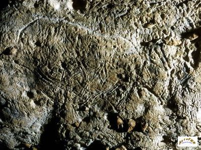 grotte de bara bahau 1