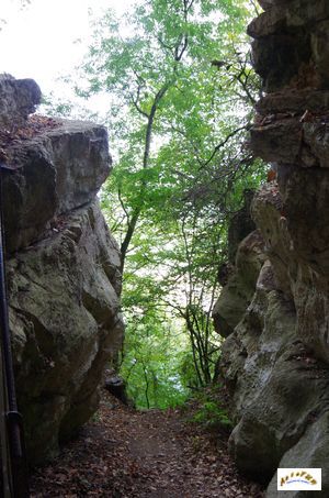grotte st leonard 5