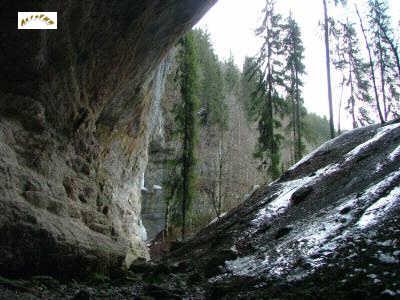 l'entrée de la grotte