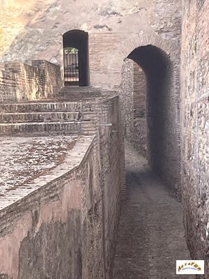 alcazaba 72