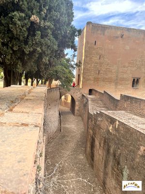 alcazaba 74