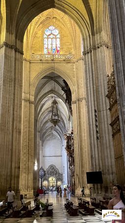 cathedrale 155