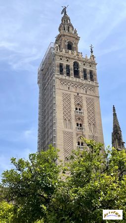 giralda 13