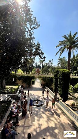 jardin 9