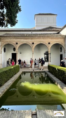patio romero 1