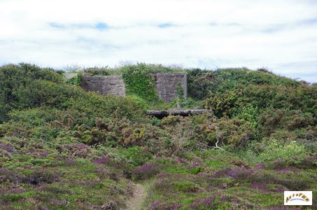 batterie capucins 13