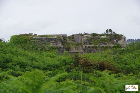 fortin 1811-8
